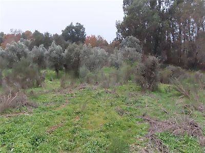Terreno à venda em Aldeia de Santa Margarida, Idanha-a-Nova
