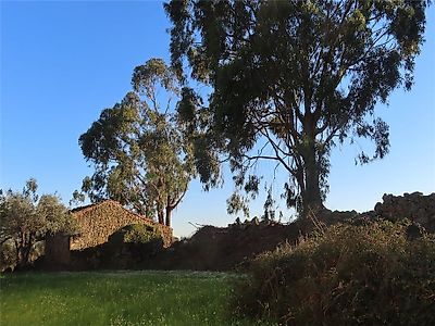 Quinta à venda em Vale de Prazeres e Mata da Rainha, Fundão