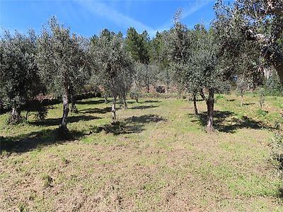 Terreno à venda em Ninho do Açor e Sobral do Campo, Castelo Branco