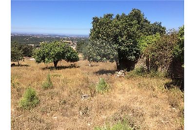 Terreno à venda em Aljubarrota, Alcobaça