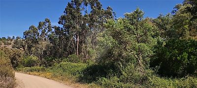 Terreno à venda em São Marcos da Serra, Silves
