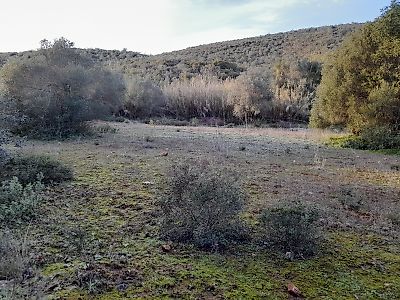 Terreno à venda em Querença, Tôr e Benafim, Loulé