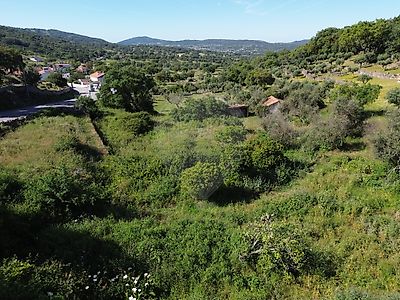 Terreno à venda em Ribeira de Nisa e Carreiras, Portalegre
