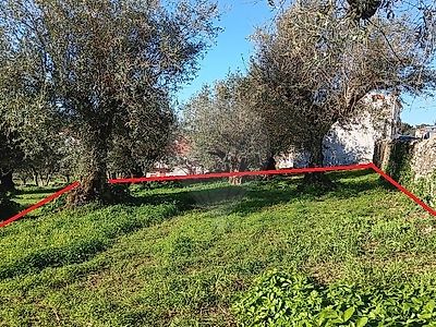 Terreno à venda em Fortios, Portalegre