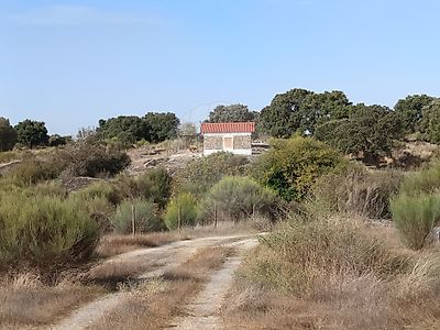 Venda Quinta Nisa - Vista 3