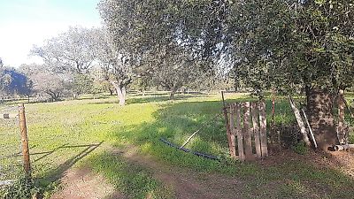 Terreno à venda em Granja, Mourão
