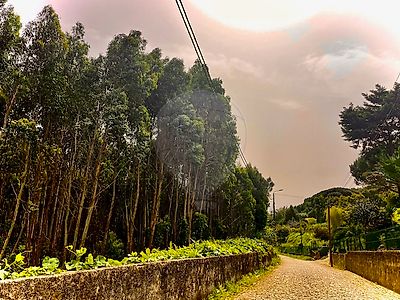 Terreno à venda em Sintra (Santa Maria e São Miguel, São Martinho e São Pedro de Penaferrim), Sintra