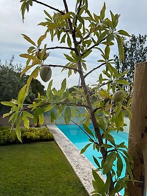 Apartamento para arrendar em Parque das Nações