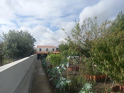 Venda Prédio Matosinhos - View 2