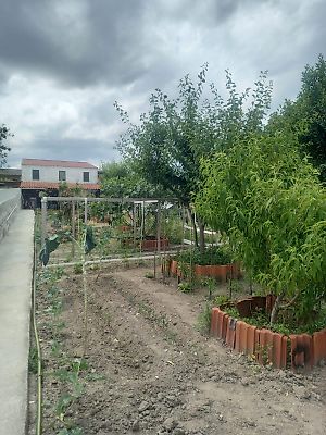 Venda Prédio Matosinhos - View 4
