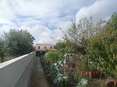 Venda Prédio Matosinhos - View 3