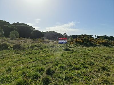 Terreno à venda em Sintra (Santa Maria e São Miguel, São Martinho e São Pedro de Penaferrim), Sintra