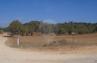 Terreno à venda em Brogueira, Parceiros de Igreja e Alcorochel, Torres Novas