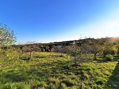 Terreno à venda em Olaia e Paço, Torres Novas