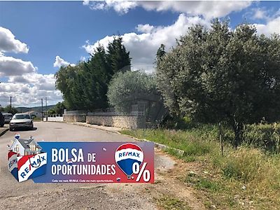 Terreno à venda em Alcanena e Vila Moreira, Alcanena