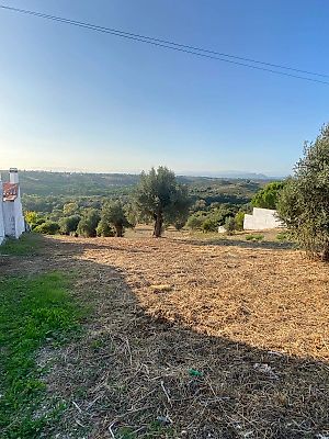 Terreno à venda em Brogueira, Parceiros de Igreja e Alcorochel, Torres Novas
