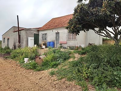 Terreno à venda em Casével e Vaqueiros, Santarém