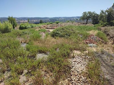 Terreno à venda em Tomar (São João Baptista) e Santa Maria dos Olivais, Tomar