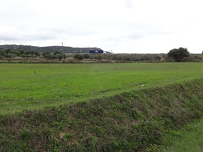 Terreno à venda em Moitas Venda, Alcanena