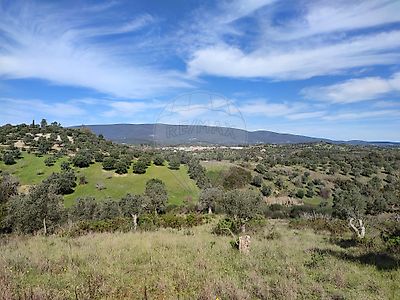 Terreno à venda em Torres Novas (São Pedro), Lapas e Ribeira Branca, Torres Novas