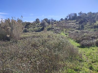 Terreno à venda em Assentiz, Torres Novas