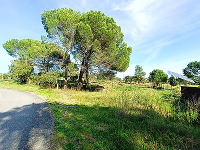 Terreno à venda em Constância, Constância