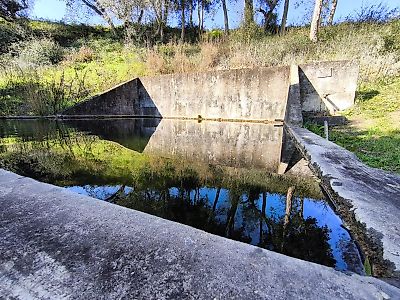 Terreno à venda em Brogueira, Parceiros de Igreja e Alcorochel, Torres Novas