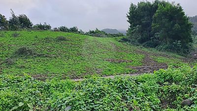 Terreno à venda em Ribeira Seca, Ribeira Grande