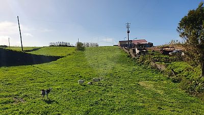 Terreno à venda em Lomba da Fazenda, Nordeste