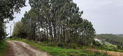 Terreno à venda em Venda do Pinheiro e Santo Estêvão das Galés, Mafra