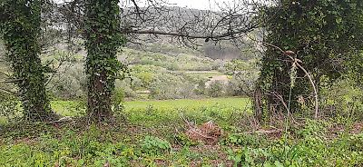 Terreno à venda em Venda do Pinheiro e Santo Estêvão das Galés, Mafra