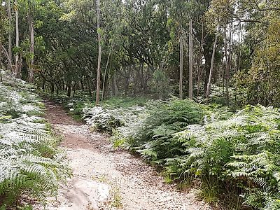 Terreno à venda em Venda do Pinheiro e Santo Estêvão das Galés, Mafra