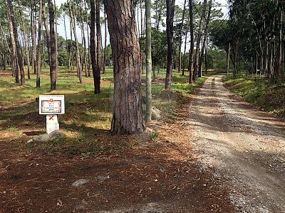 Terreno à venda em Colares, Sintra