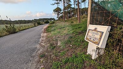 Terreno à venda em Sintra (Santa Maria e São Miguel, São Martinho e São Pedro de Penaferrim), Sintra