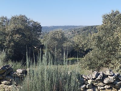 Terreno à venda em Castelo Mendo, Ade, Monteperobolso e Mesquitela, Almeida