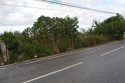 Terreno à venda em Almargem do Bispo, Pêro Pinheiro e Montelavar, Sintra