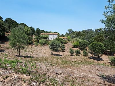 Terreno à venda em Sintra (Santa Maria e São Miguel, São Martinho e São Pedro de Penaferrim), Sintra