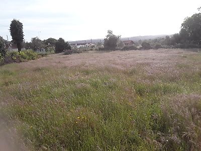 Terreno à venda em Aljubarrota, Alcobaça
