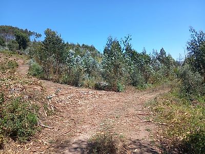 Terreno à venda em Maiorga, Alcobaça