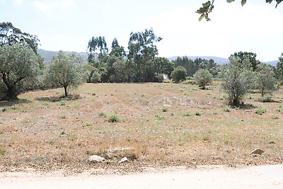 Terreno à venda em Aljubarrota, Alcobaça