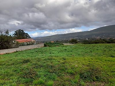 Terreno à venda em Pedreiras, Porto de Mós