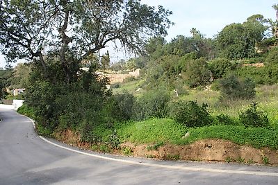 Land for sale in Lagoa e Carvoeiro, Lagoa (Algarve) — photo 1