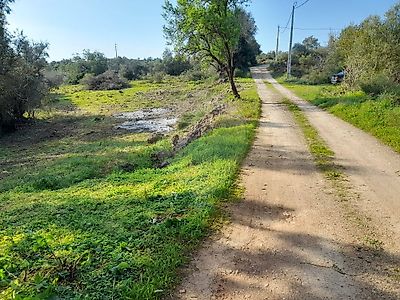 Land for sale in Silves, Silves