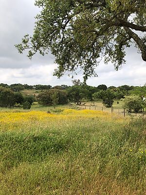 Terreno à venda em Santo Estevão, Benavente