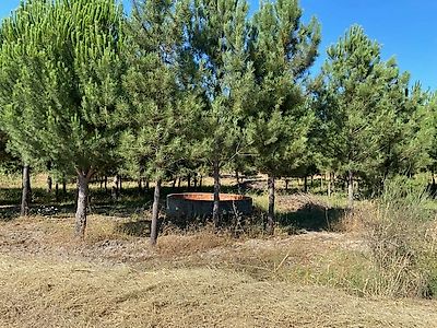 Terreno à venda em São José da Lamarosa, Coruche