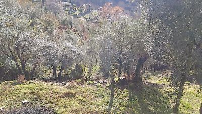 Terreno à venda em Ermelo e Pardelhas, Mondim de Basto