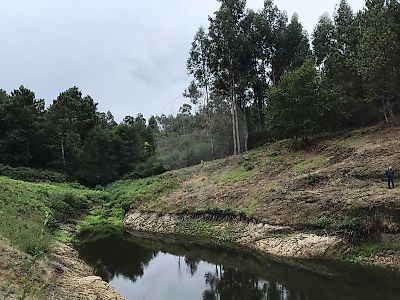 Terreno à venda em Britelo, Gémeos e Ourilhe, Celorico de Basto
