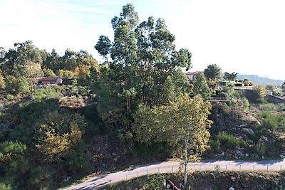 Venda Terreno Cabeceiras de Basto - Vista 5