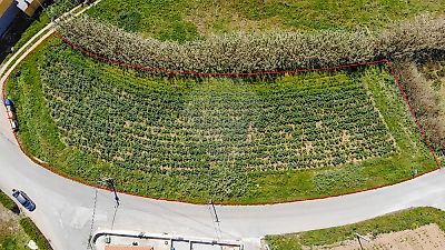 Terreno à venda em Ribamar, Lourinhã
