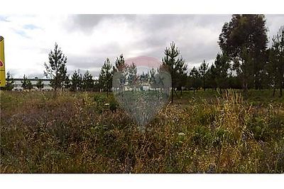 Terreno à venda em Vila Nova de Paiva, Alhais e Fráguas, Vila Nova de Paiva